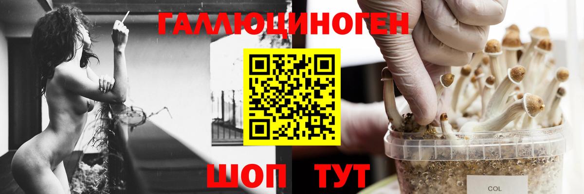 Галлюциногенные грибы мухоморы  Галлюциногенные грибы мицелий  Среднеуральск  Вход с VPN 
